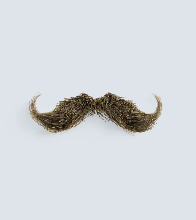 Fake Mustache